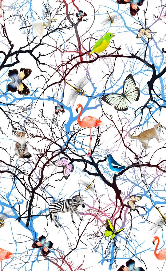 树枝印花华亿平台图片