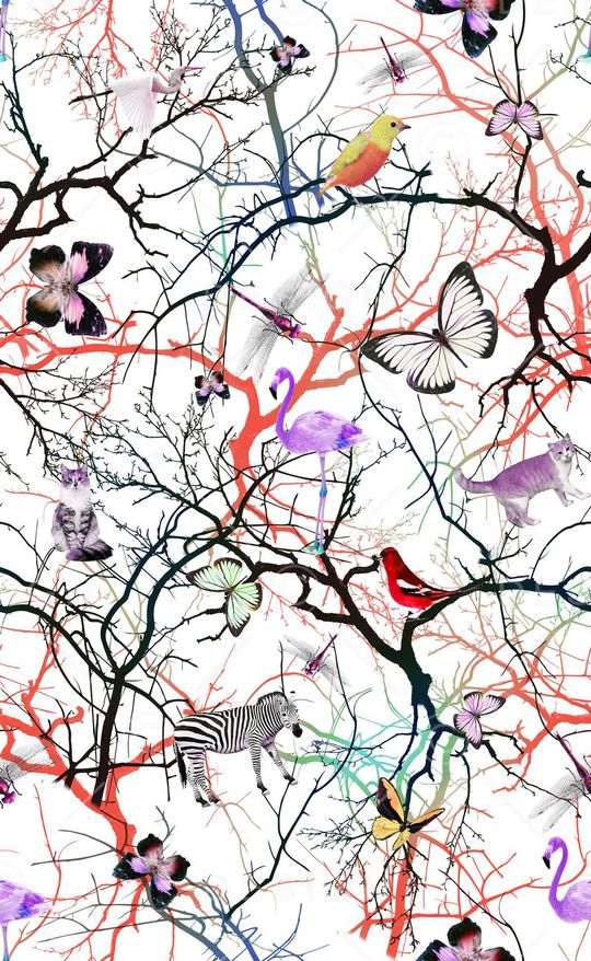 树枝印花华亿平台图片