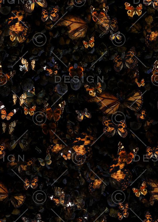 蝴蝶与木纹肌理印花华亿平台图片