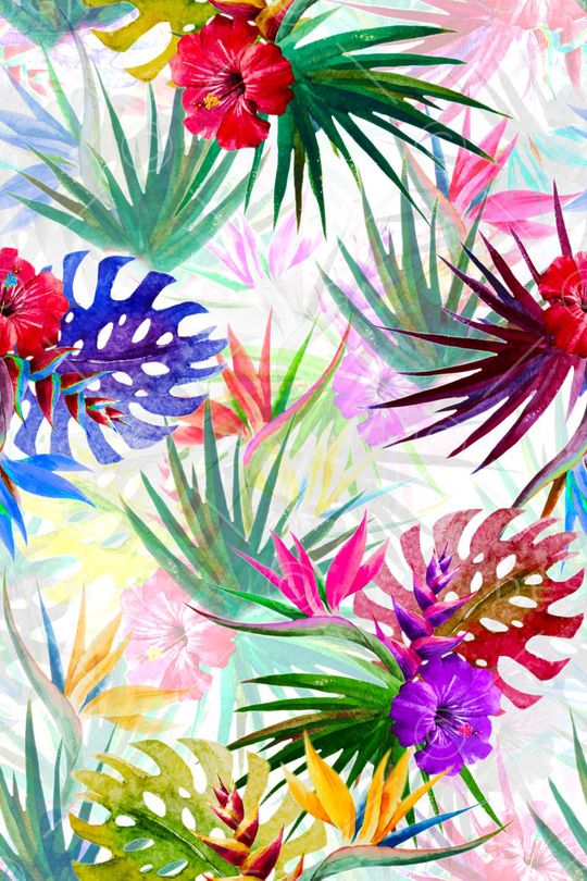 女装印花华亿平台图片