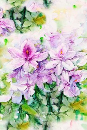 乱花印花华亿平台图片