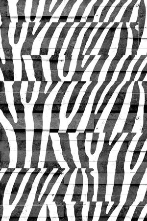 斑马纹印花华亿平台图片