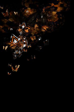 原创几何昆虫印花华亿平台图片