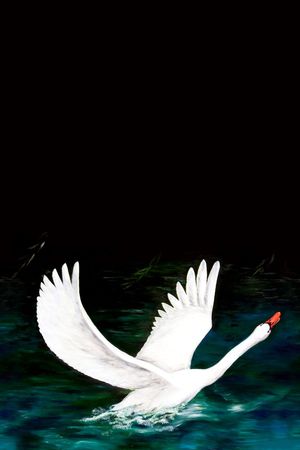 油画风格定位印花华亿平台图片