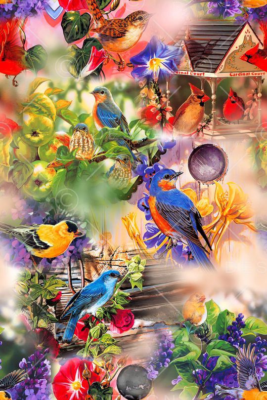 小鸟印花华亿平台图片