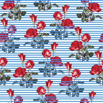 634958-玫瑰蓝条纹