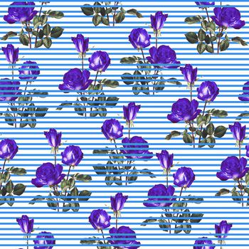 634959-玫瑰蓝条纹蓝
