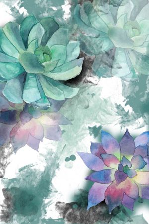 多肉植物印花华亿平台图片