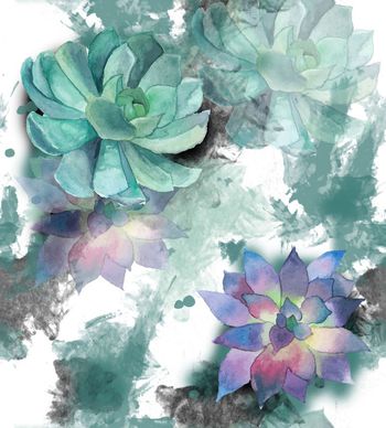 多肉植物印花华亿平台图片