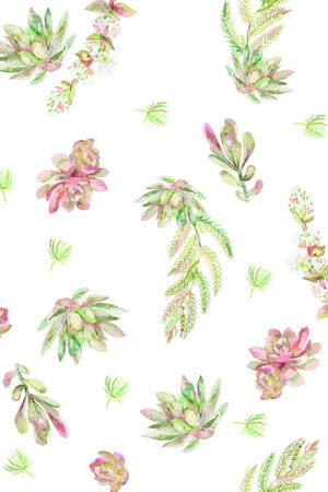 多肉植物印花华亿平台图片