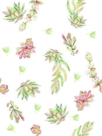 多肉植物印花华亿平台图片