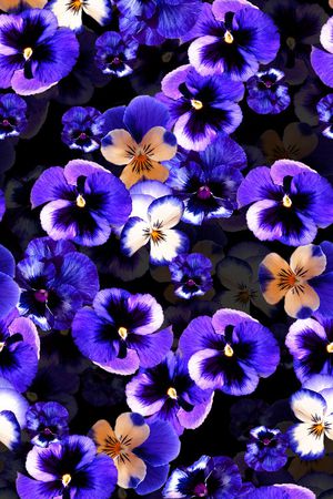 深邃蓝色花卉组合印花华亿平台图片