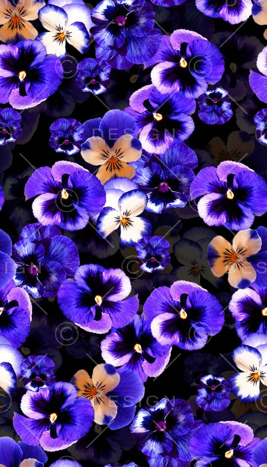 深邃蓝色花卉组合印花华亿平台图片