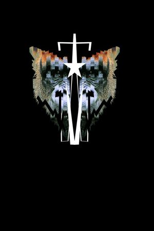 毁日印花华亿平台图片