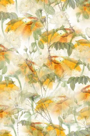 复古、手绘、向日葵、月季印花华亿平台图片