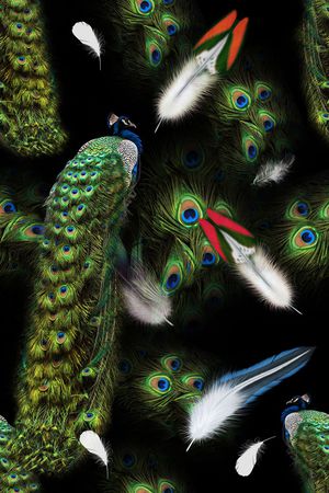 羽毛印花华亿平台图片