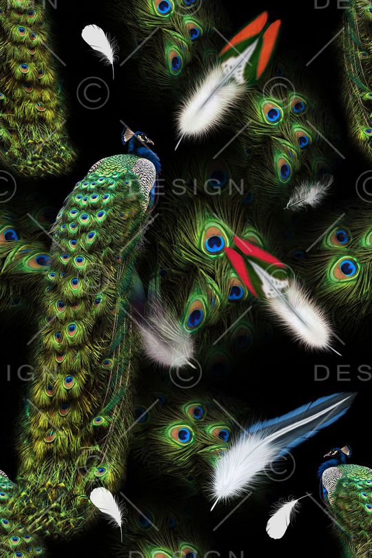 羽毛印花华亿平台图片