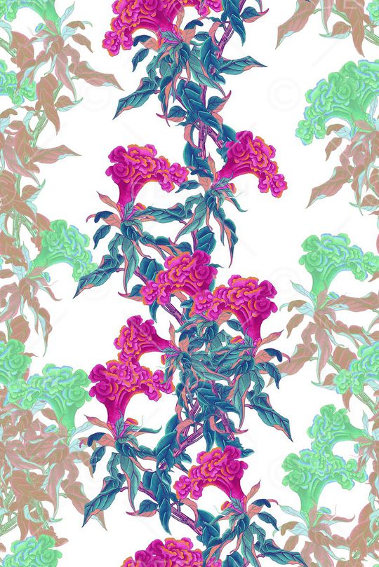 国画风景花卉印花华亿平台图片