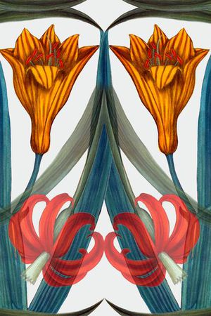 宫廷风印花华亿平台图片