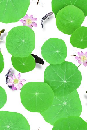 国画印花华亿平台图片