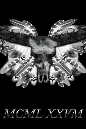 牛头骨印花华亿平台图片