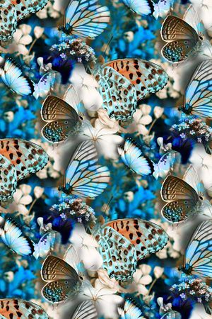 蝴蝶印花华亿平台图片