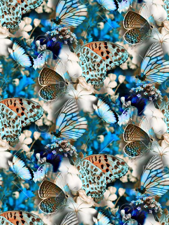 蝴蝶印花华亿平台图片