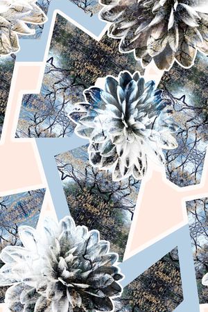 花卉、几何拼贴、抽象印花华亿平台图片