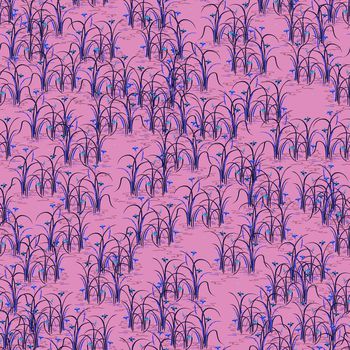 636175-水仙水稻蓝