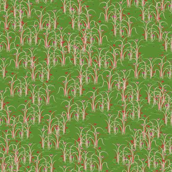 636176-水仙水稻绿