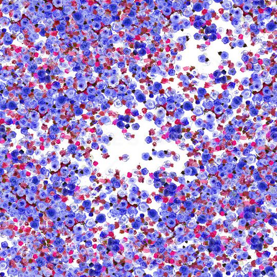 乱花印花华亿平台图片