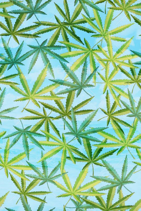 热带印花华亿平台图片