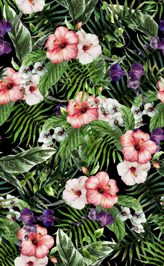 泳装印花华亿平台图片