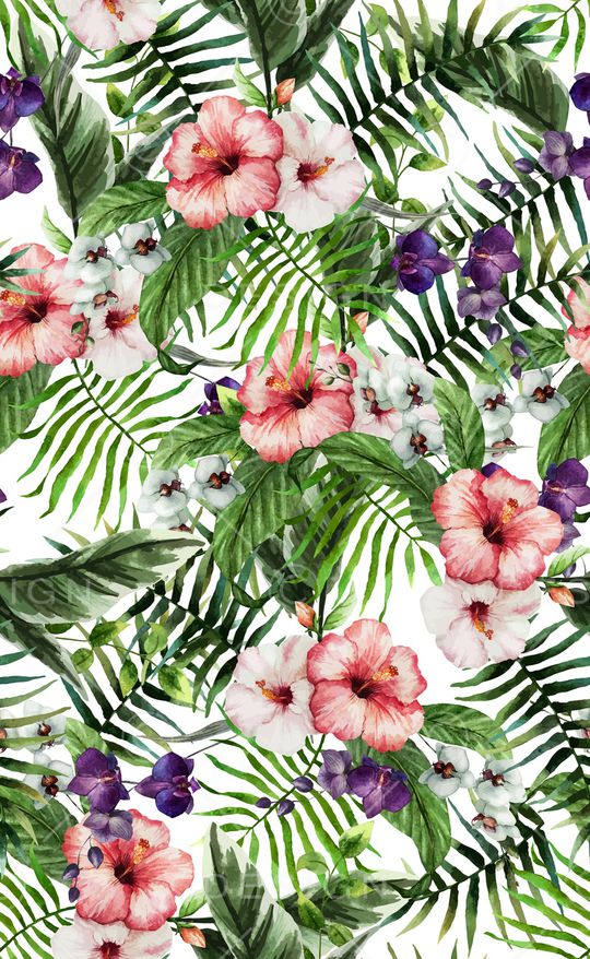 泳装印花华亿平台图片