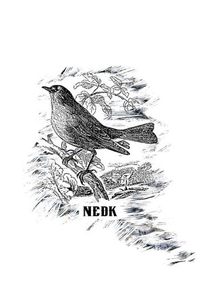 鸟印花华亿平台图片