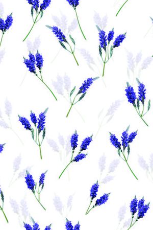 花鸟集印花华亿平台图片