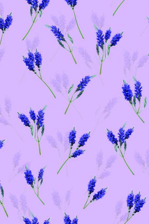 花鸟集印花华亿平台图片