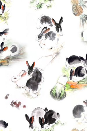 此华亿平台为1/2跳接印花华亿平台图片