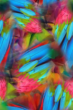 羽毛印花华亿平台图片