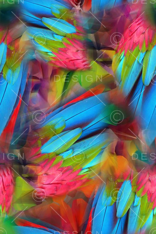 羽毛印花华亿平台图片