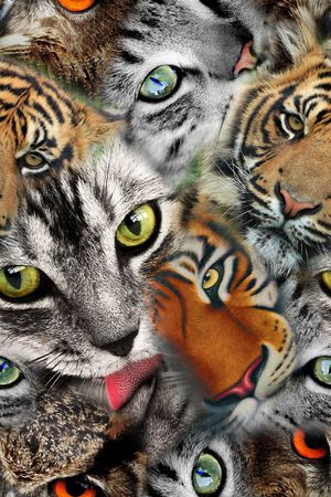 动物印花华亿平台图片