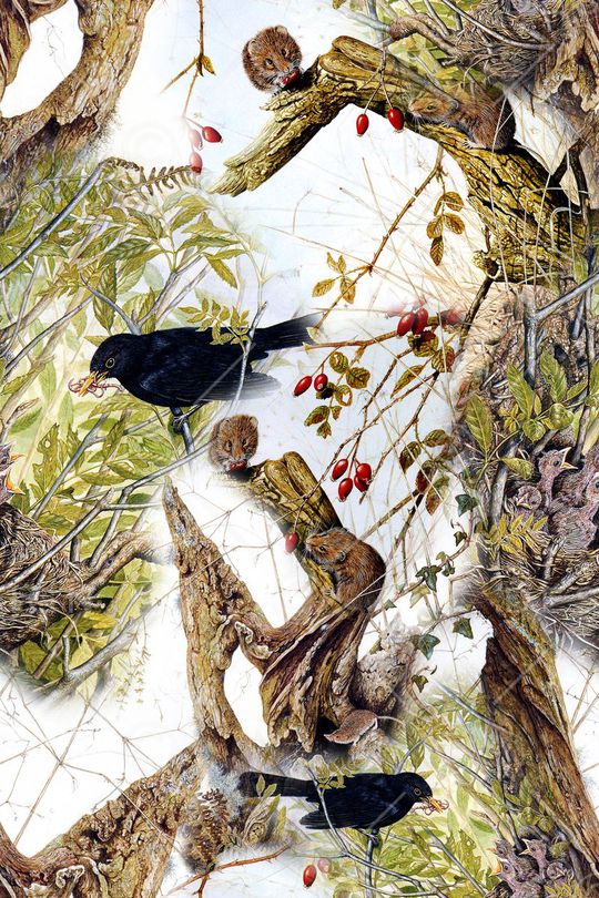 树枝动物印花华亿平台图片