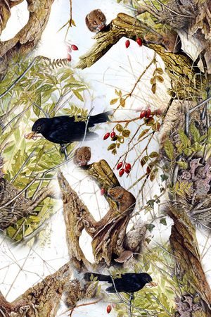 树枝动物印花华亿平台图片