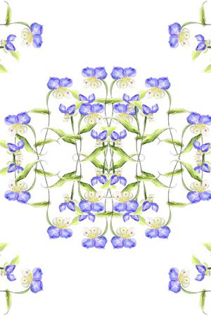 兰花印花华亿平台图片