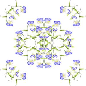 兰花印花华亿平台图片