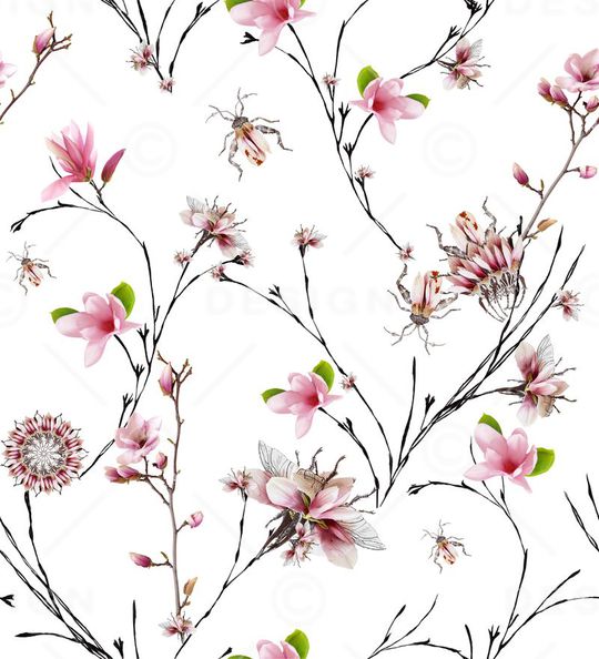 玉兰花、大牌华亿平台、花卉印花华亿平台图片