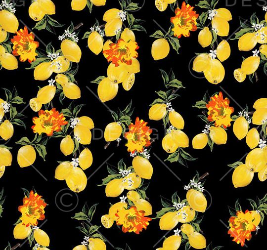 D&G走秀印花华亿平台图片