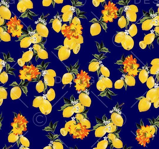 D&G走秀印花华亿平台图片