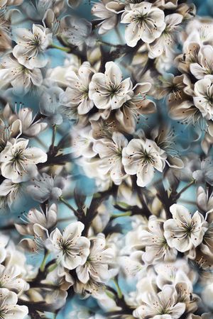 清爽印花华亿平台图片