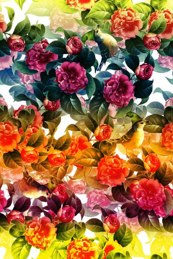 条纹印花华亿平台图片